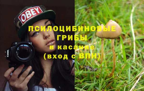 мяу мяу мука Алзамай