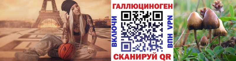 Псилоцибиновые грибы Cubensis  Палласовка 